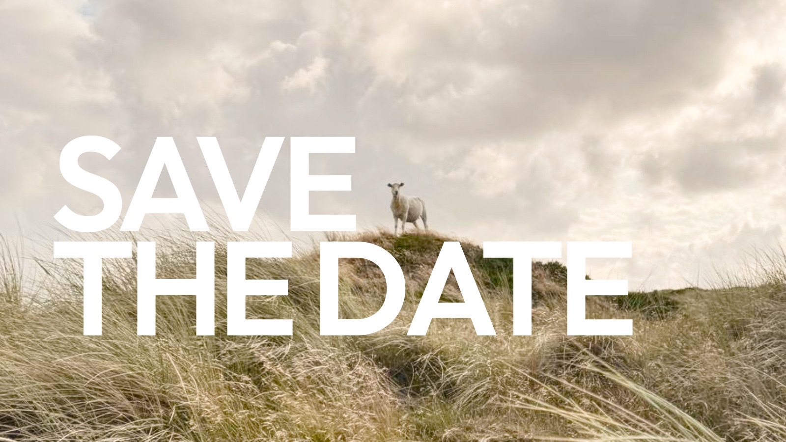 Save the Date: North Sea Ultra am 09. Mai 2026